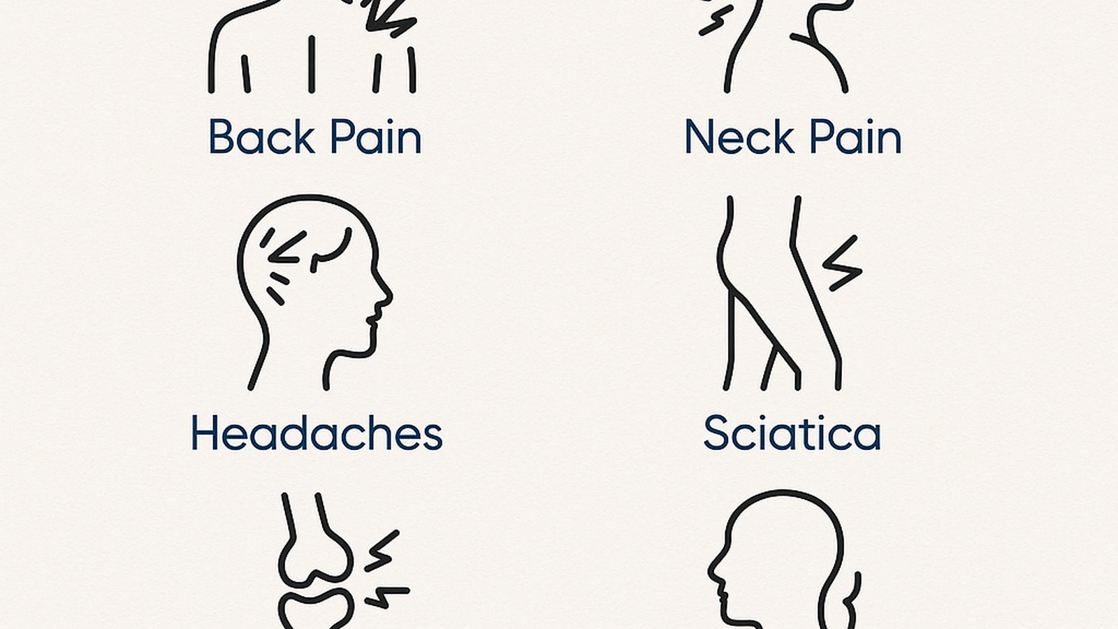 Spine illustration and nervous system